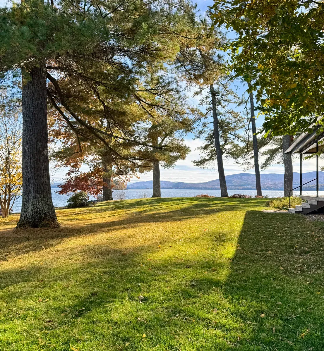 Organic lawn care result