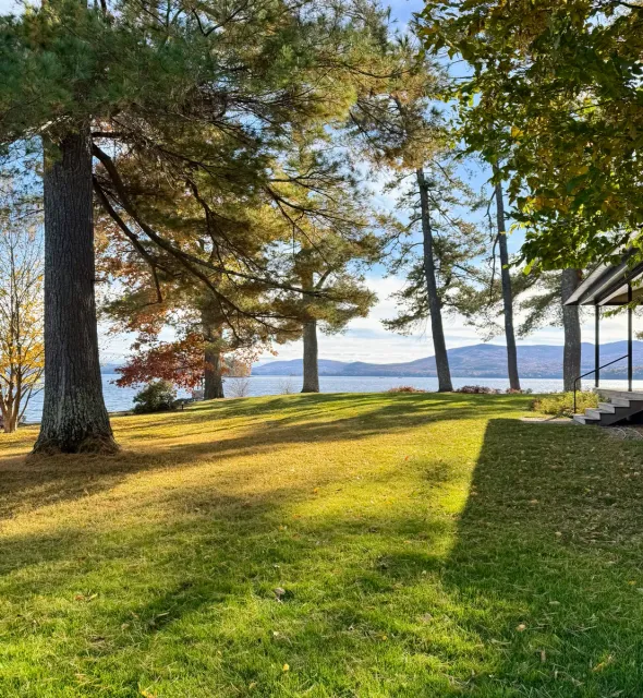 Organic lawn care result