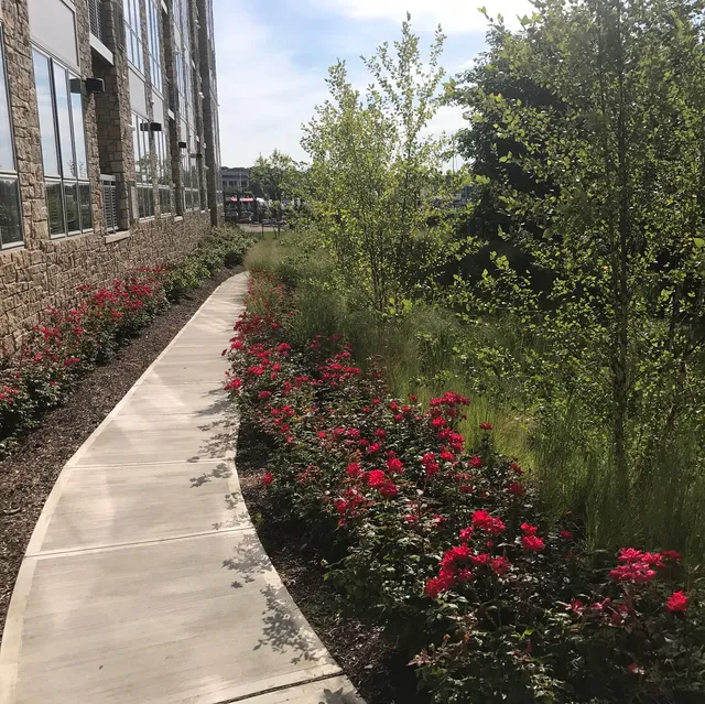 Town & Country Landscape Management work photo
