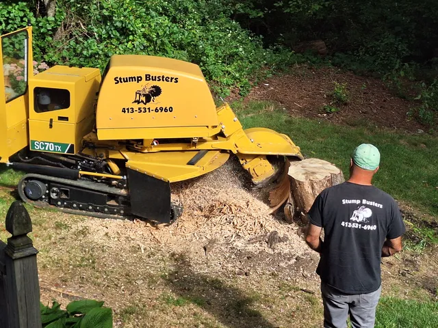 Stump Busters work photo