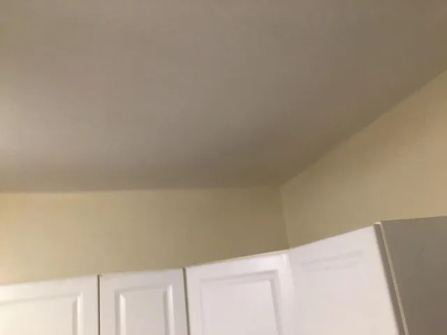 work photo from professionalpaintplus.com