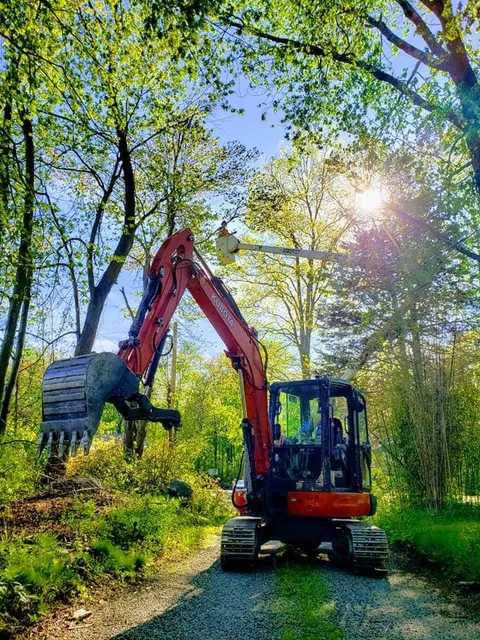 work photo from littlesteviestreeworkllc.com