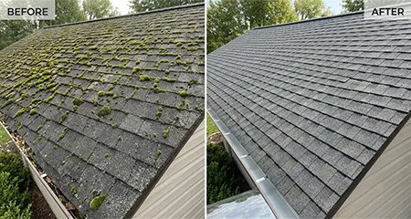 Roof Cleaning