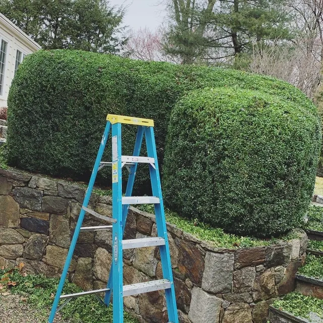 Brights Landscaping researched project photo