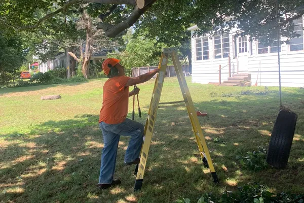Turner Tree Services researched project photo