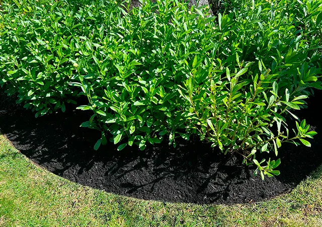 work photo from dsjlandscaping.com