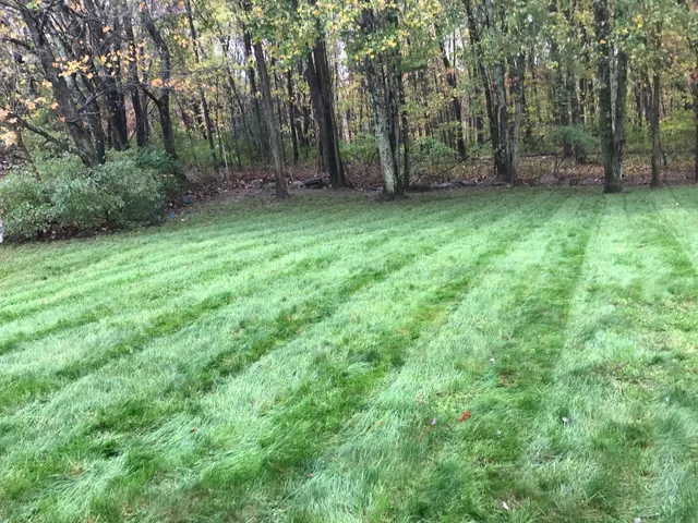 H.L.O lawn care and landscaping, LLC work photo