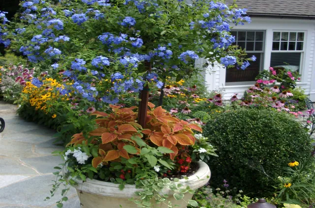 work photo from knobhilllandscaping.com