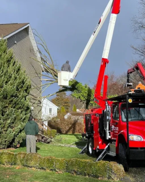A large red bucket truck with an extendable arm is lifting a worker to trim a tree near a house. Two people are on the ground nearby, one watching the worker.