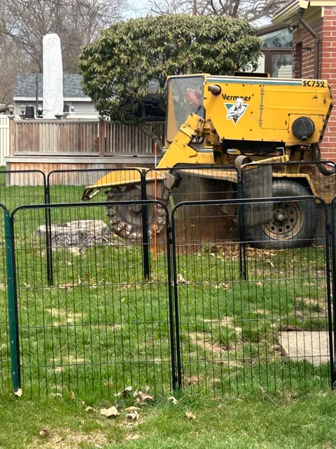 Brett's Stumpgrinding work photo