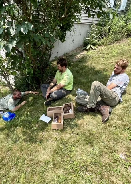 work photo from rttreeremoval.com
