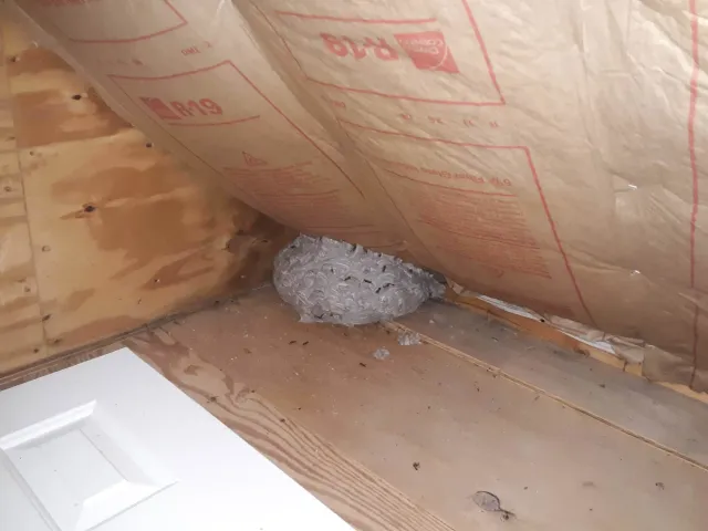 work photo from martinpestcontrol.net