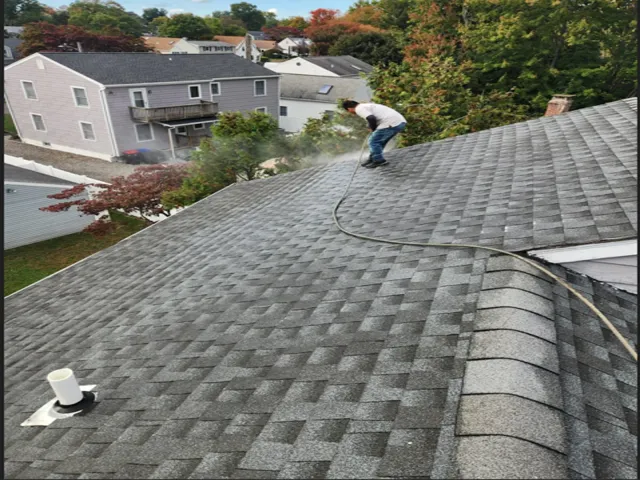 roof