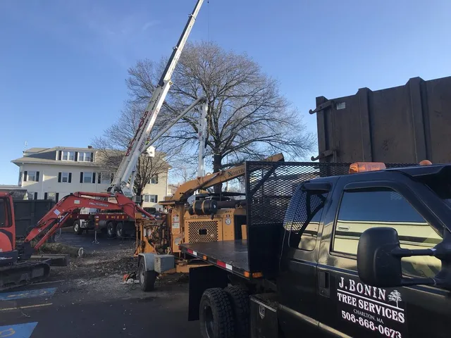 J. Bonin Tree Services, LLC verified work photo