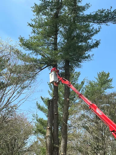 Review photo by Janet Nadeau