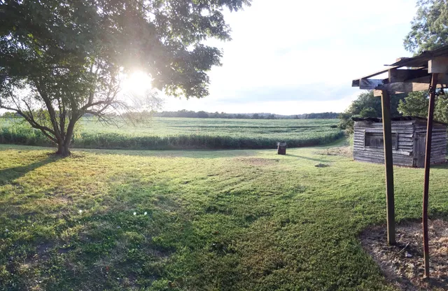 A sunlit rural landscape with a green field, a tree on the left casting shadows, and an old wooden shed on the right. The sky is partly cloudy and the scene feels peaceful and open.