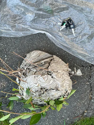 General Environmental Services work photo
