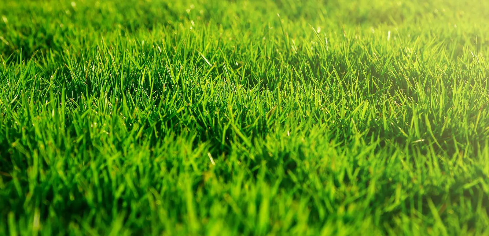 work photo from elfslandscapeinc.com