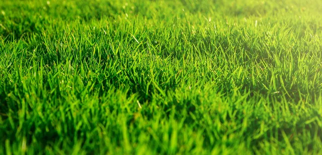 work photo from elfslandscapeinc.com