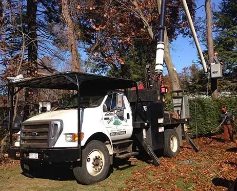 work photo from edgetreeservice.com