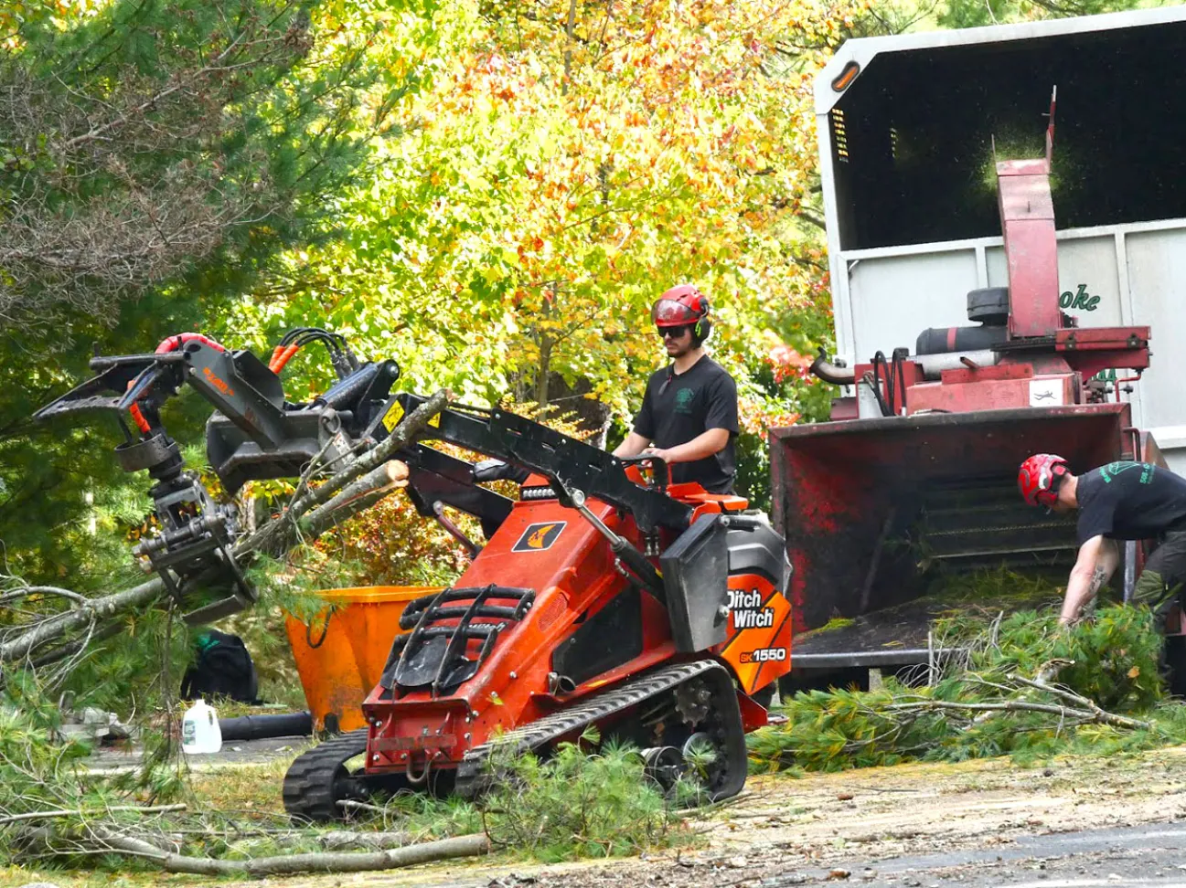 Brooke-LandClearing-P1120412