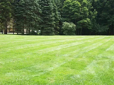 work photo from aikenlandscaping.com