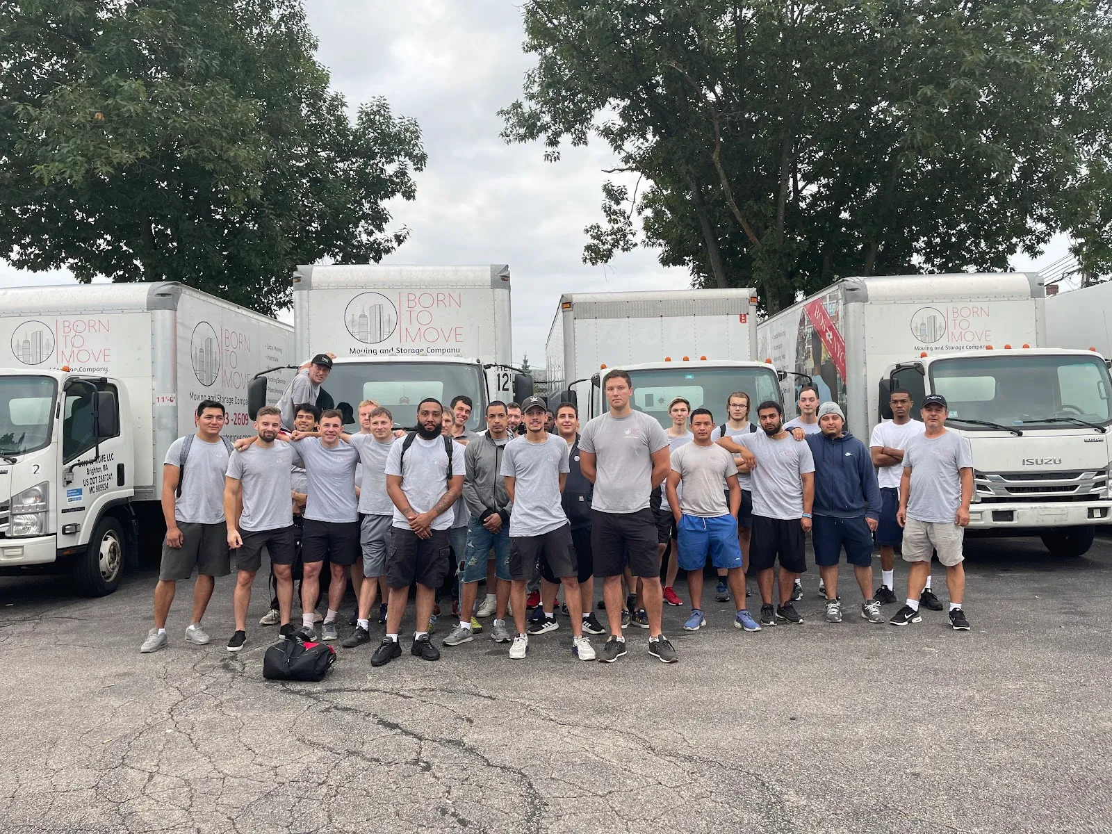 Born to Move Movers