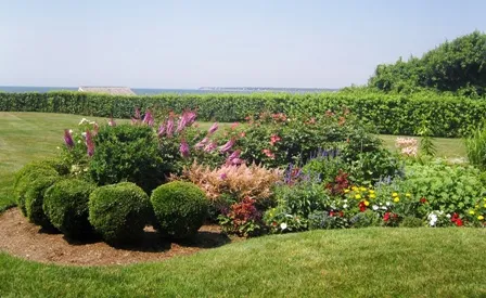 Cape Cod Safe Lawns work photo