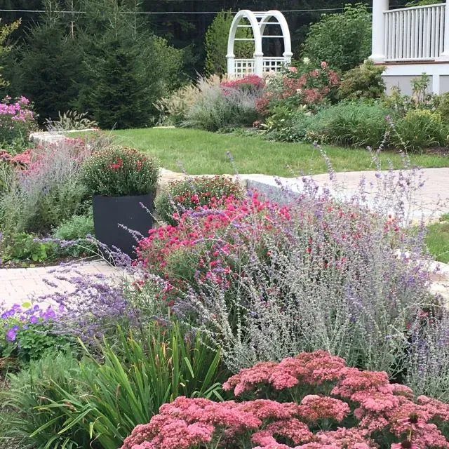 Flowering Entry Gardens