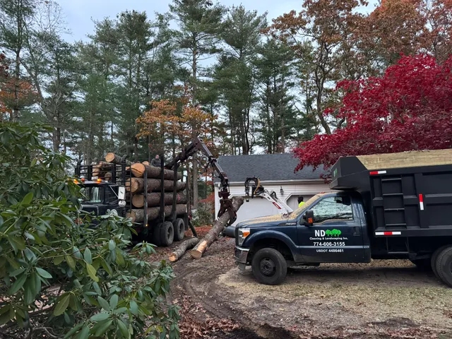 ND Cleaning & Tree Service Inc. work photo
