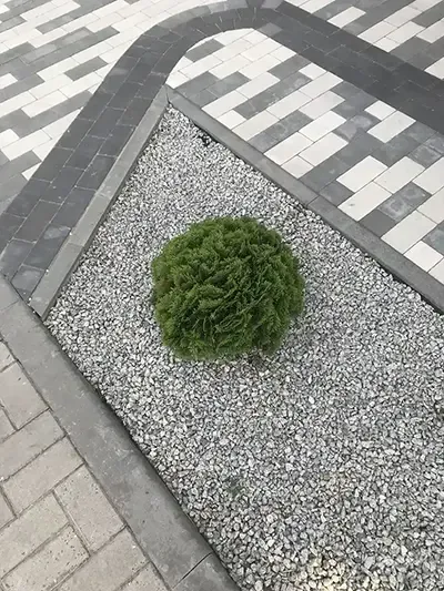 Reliable Paver