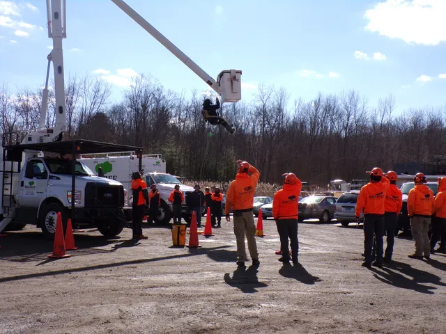 SavATree work photo
