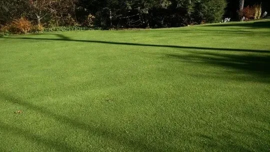 Beautifully trimmed lawn — Lawn Maintenance in Bellows Falls, VT