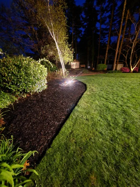 Nighttime view of a backyard with a well-maintained lawn, and a garden bed with mulch, illuminated by a ground light. Trees and shrubs line the background, and a wooden shed is visible in the distance.