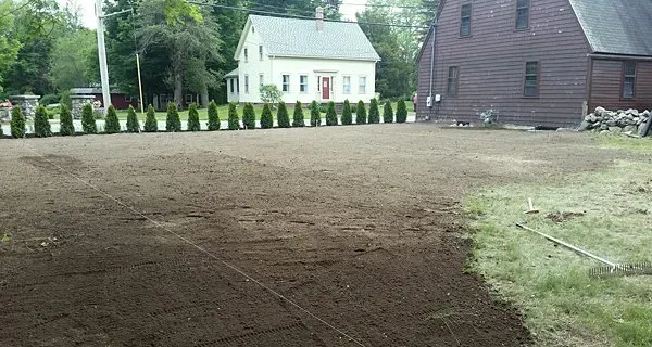 Lawn installation