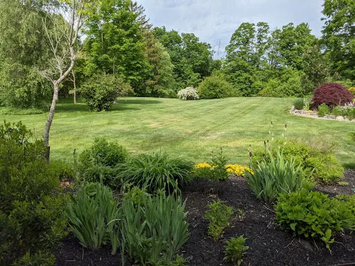 Review photo by Jeffrey Bastress (Realtor Extraordinaire)