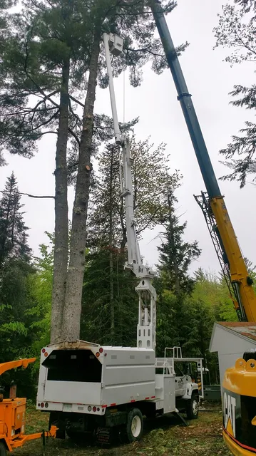 work photo from jwlandclearing.com