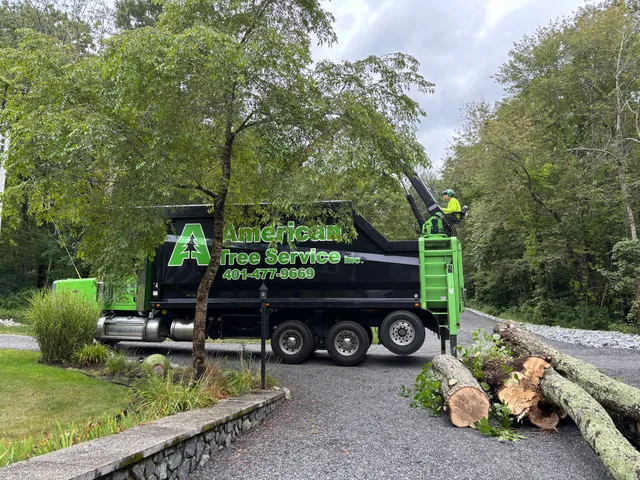 American Tree Service, Inc. work photo