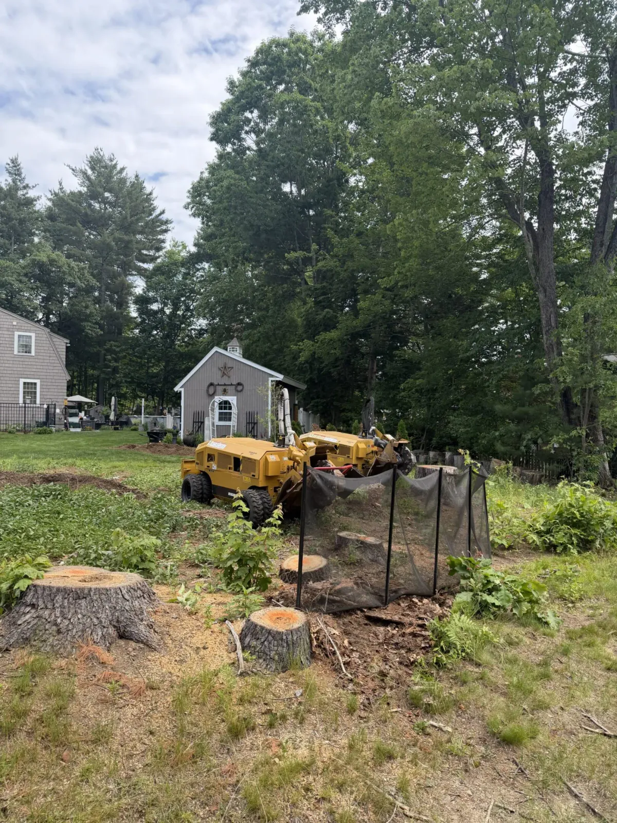 House and stump grinder in forested yard