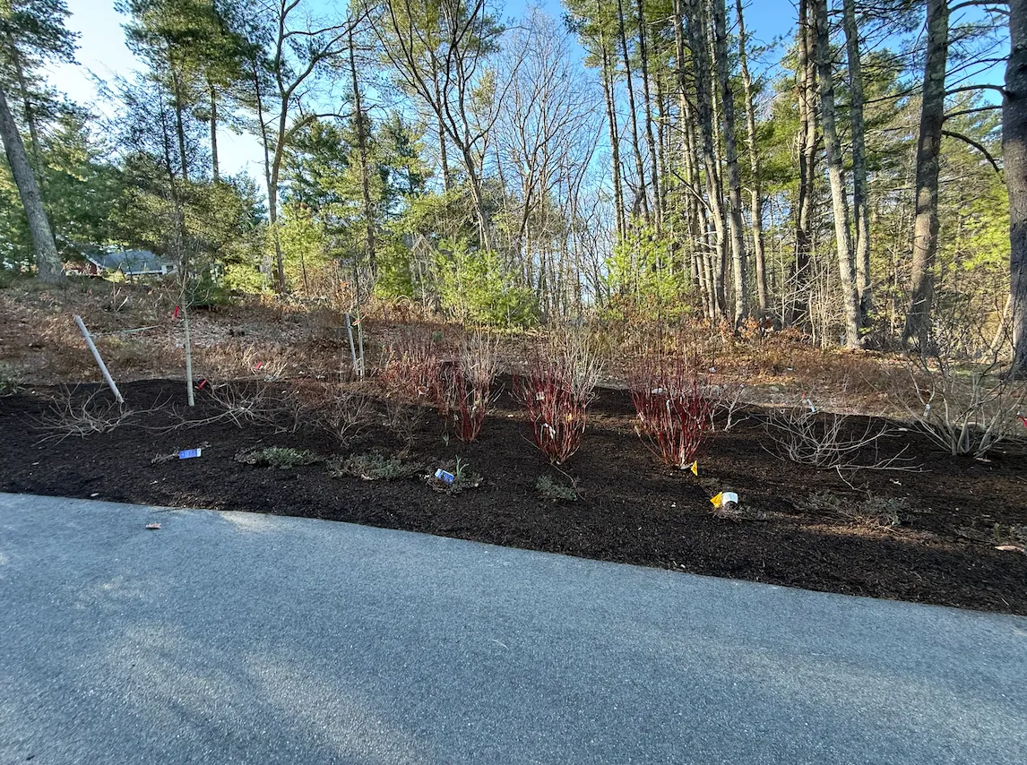 Driveway Border Bed
