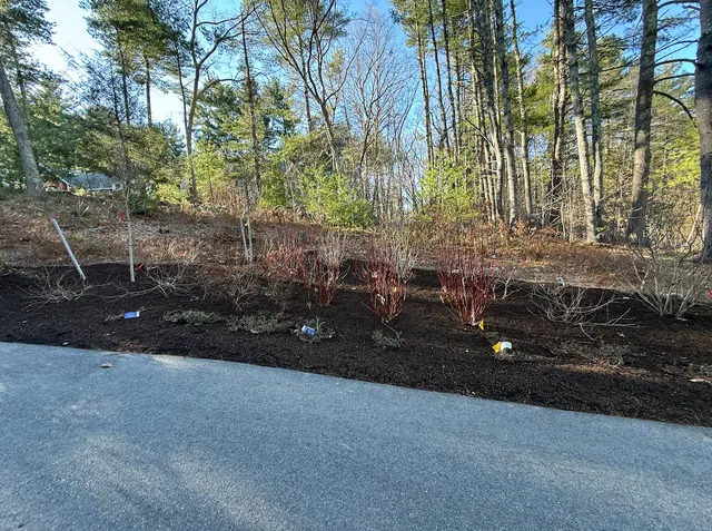 Driveway Border Bed