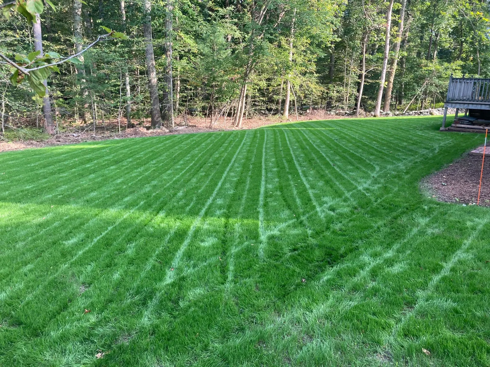 work photo from proturfcare.net