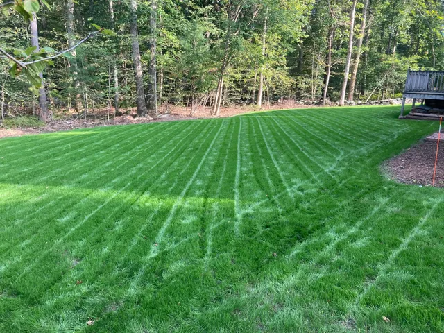 work photo from proturfcare.net