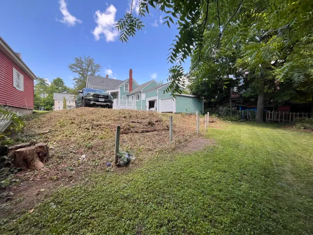 Over grown yard clean up