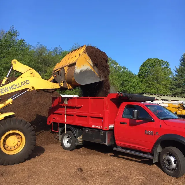 DiIorio Landscaping, LLC work photo