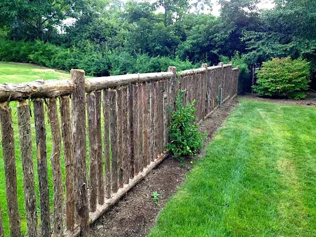Fencing Work