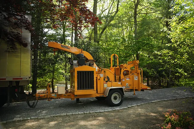 work photo from allscapestreeri.com