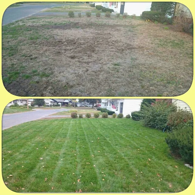 CMS Landscaping work photo