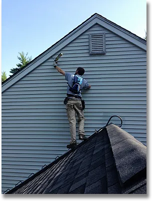 Suburban Wildlife Control work photo