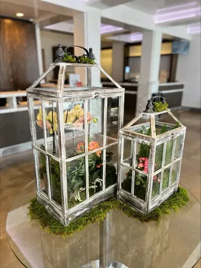 Decorative Plants inside a box on a table